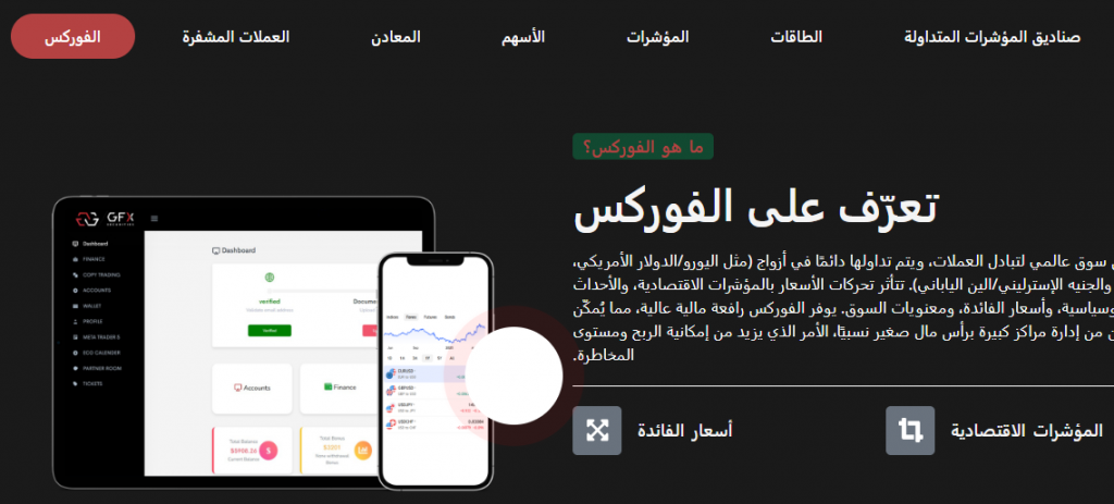 الأصول المالية المتوفرة لدى شركة GFX Securities