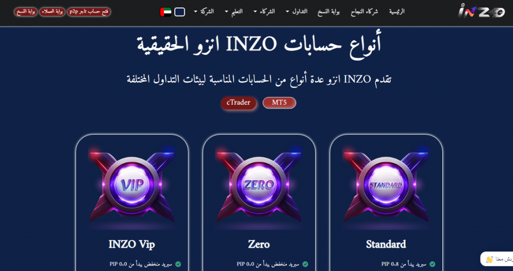 حسابات شركة إنزو